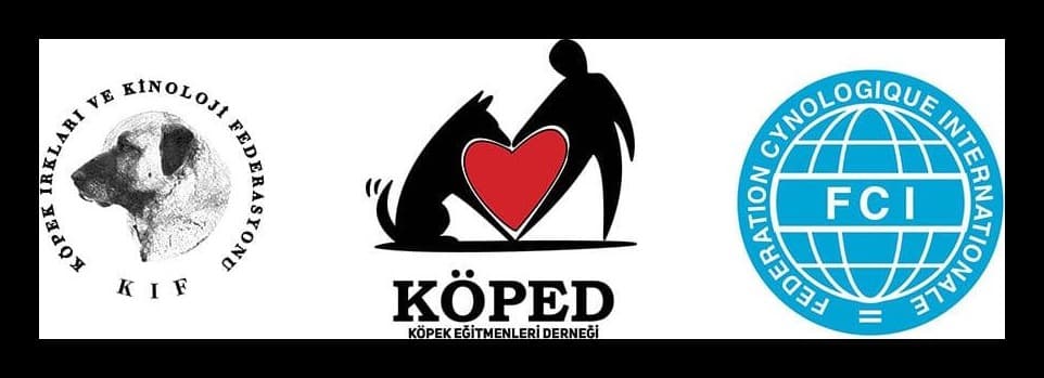 KÖPED