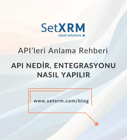 api-nedir