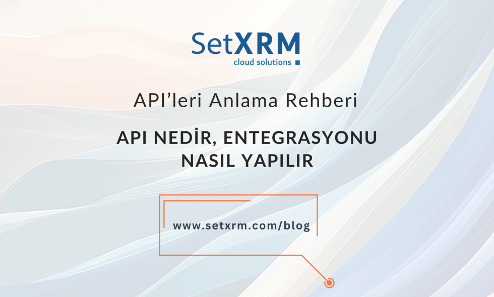 api-nedir